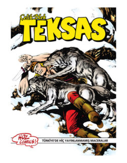 Çelik Blek Teksas 38