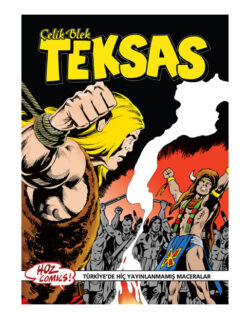 Çelik Blek Teksas 42